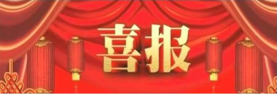 大連路陽科技開發有限公司的“PEEK改性材料及制品制備技術”，被遼寧省 ...