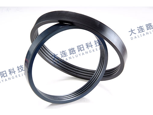 口環密封Mouth ring seal